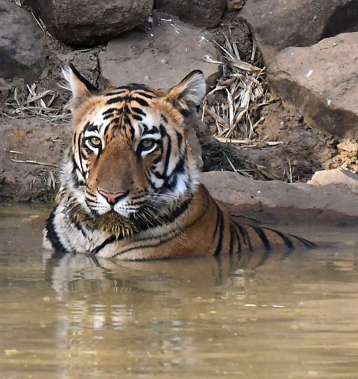 Travel smart. Travel beautifully. Travel curated.