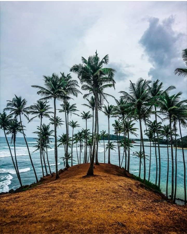 Coastal Beginnings & Beachside Bites