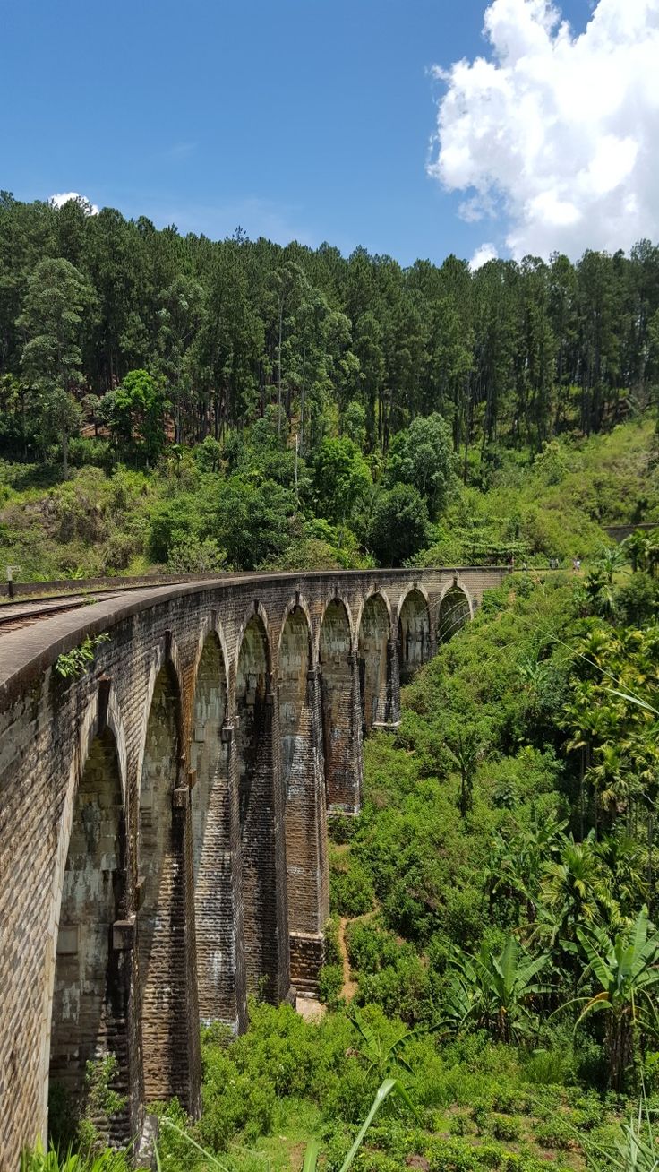 Hill Drives & High Tea Dreams